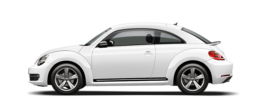 Beetle side-view